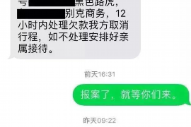 石景山为什么选择专业追讨公司来处理您的债务纠纷？